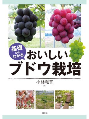 cover image of 基礎からわかる　おいしいブドウ栽培
